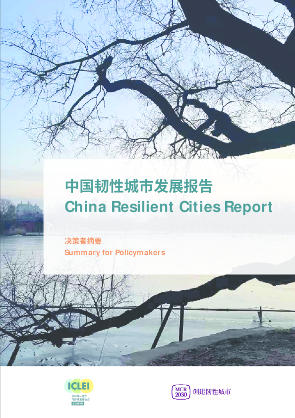 中国韧性城市发展报告
