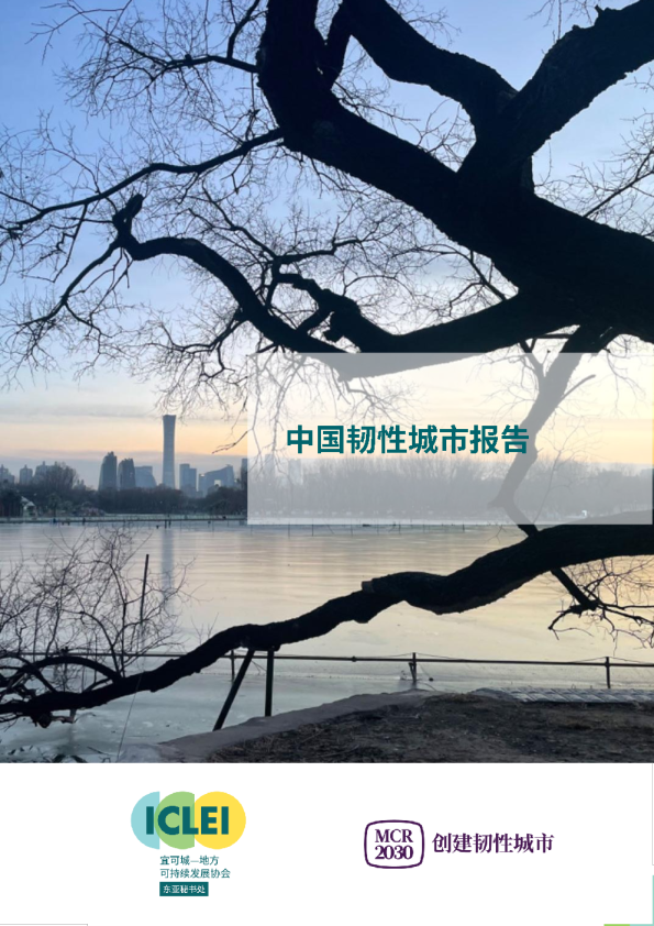 中国韧性城市报告2024