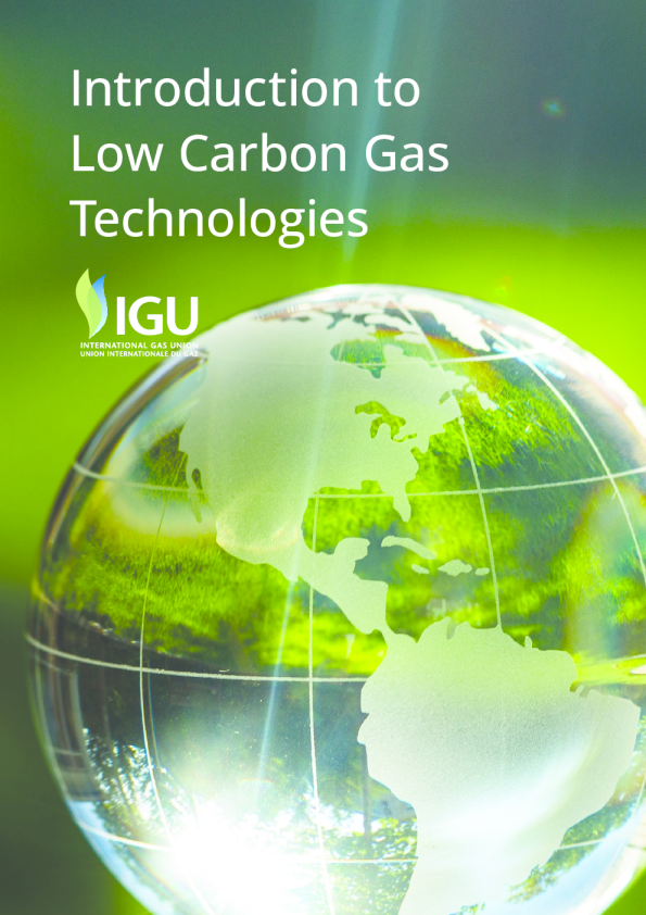 国际天然气联盟低碳气体技术导论