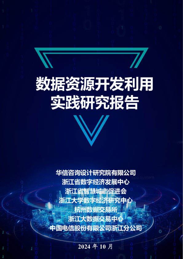 2024年数据资源开发利用实践研究报告