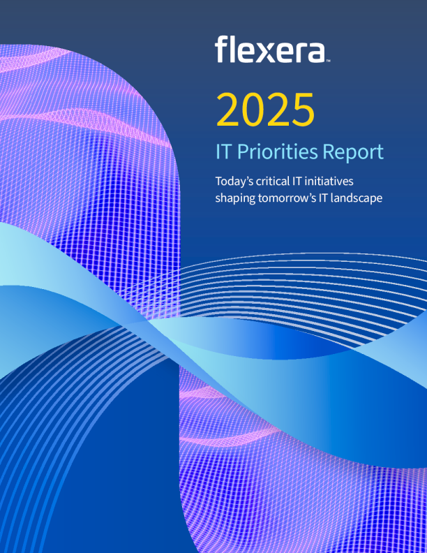 Flexera 2025 it 优先事项报告