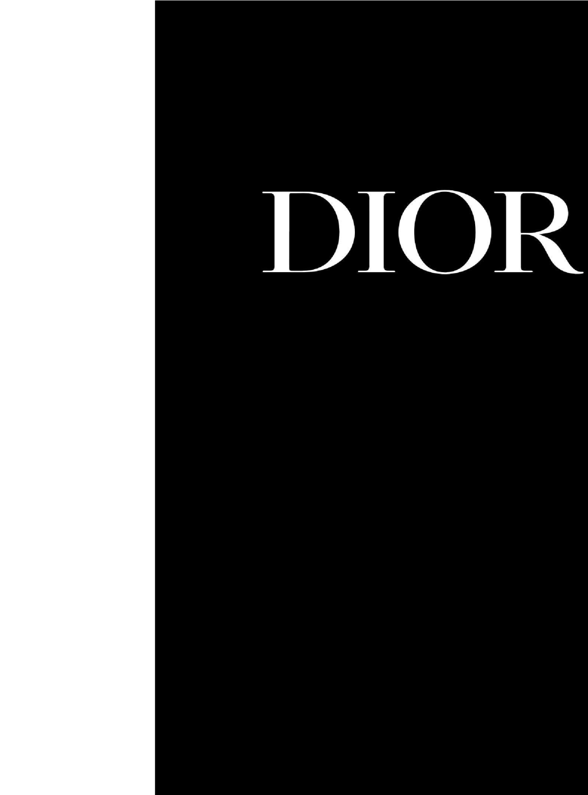 Dior形象指南品牌VIS规范手册