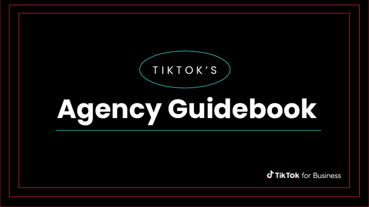 TikTok 代指南手手册