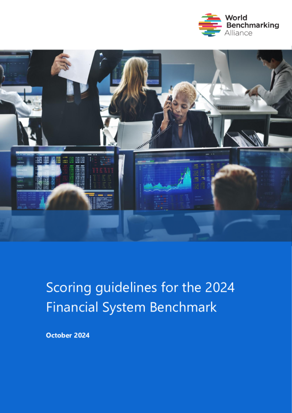 2024年金融体系基准评分指南