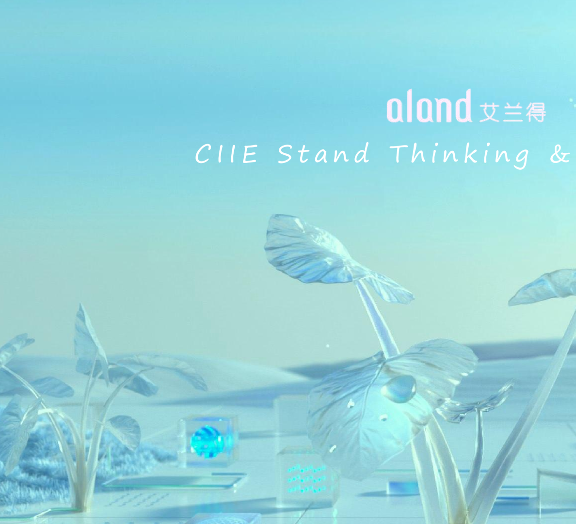 艾兰得进博会展台展示活动方案