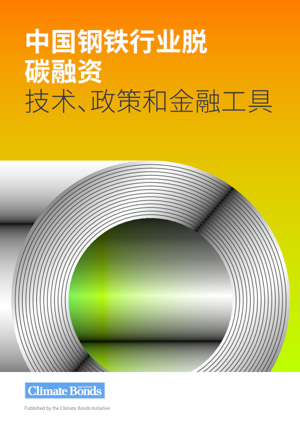 中国钢铁行业脱碳融资:技术、政策和金融工具