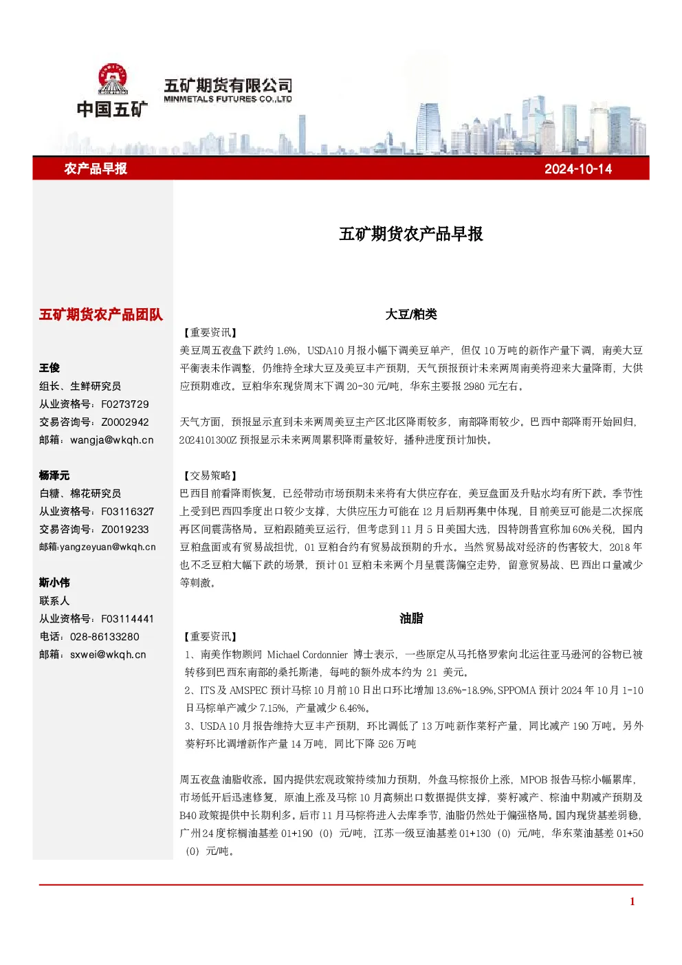 报告封面