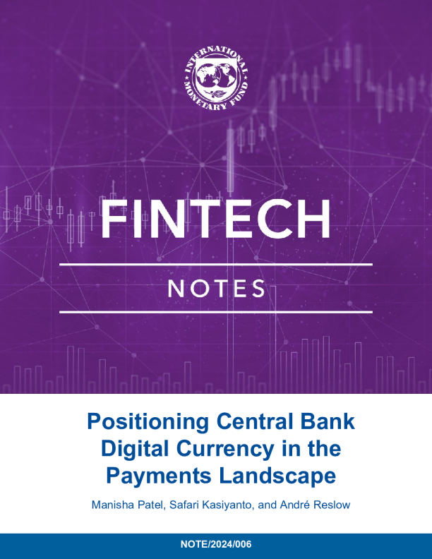 在支付格局中定位中央银行数字货币2024