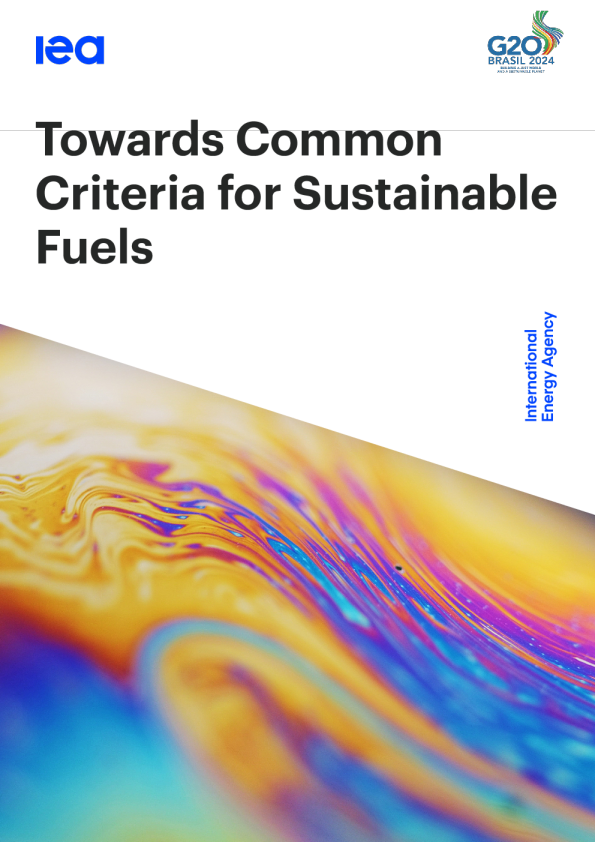 迈向可持续燃料的共同标准2024