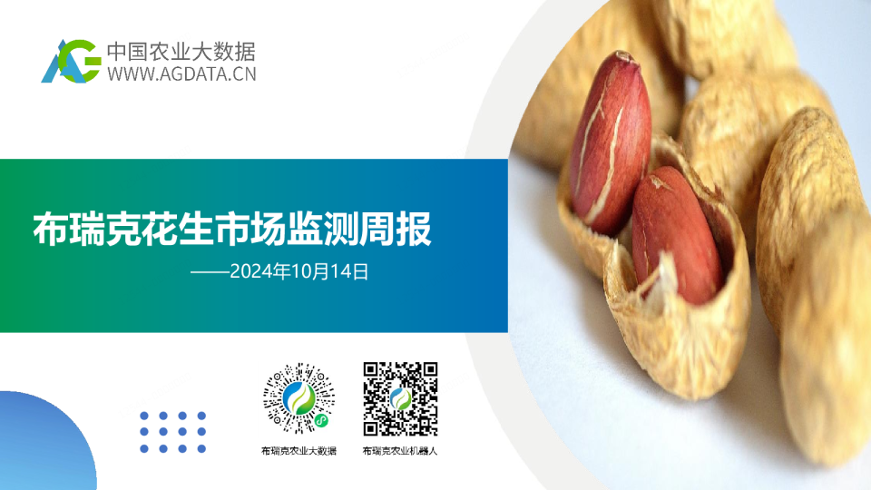 花生市场监测周报（20241014）-河南花生价格回升