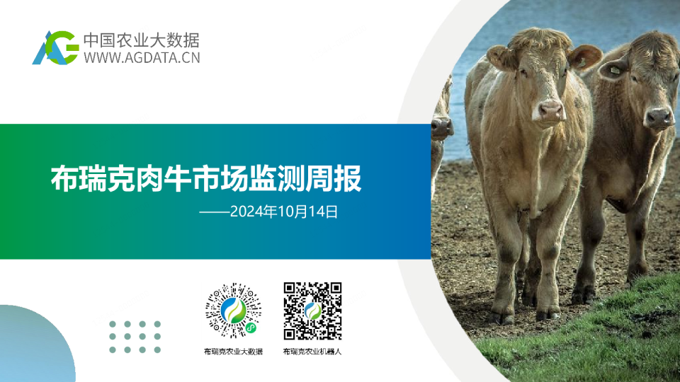 肉牛市场监测报告（20241014）：牛肉价格继续回落
