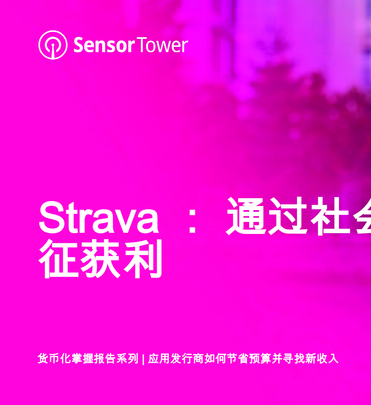 货币化掌握报告系列：通过社会特征获利