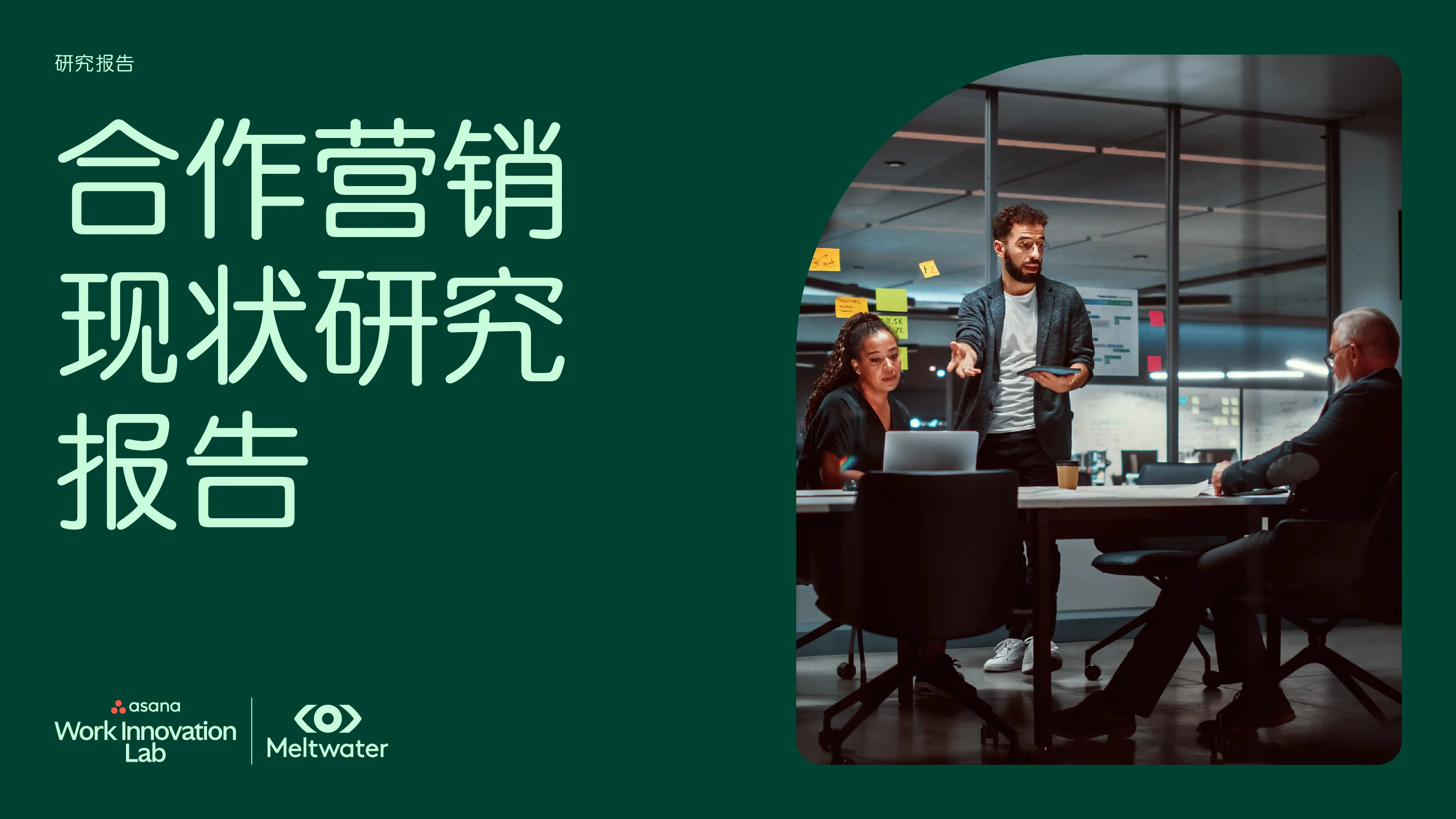 2024年合作营销现状研究报告