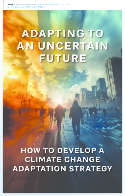 适应不确定的未来