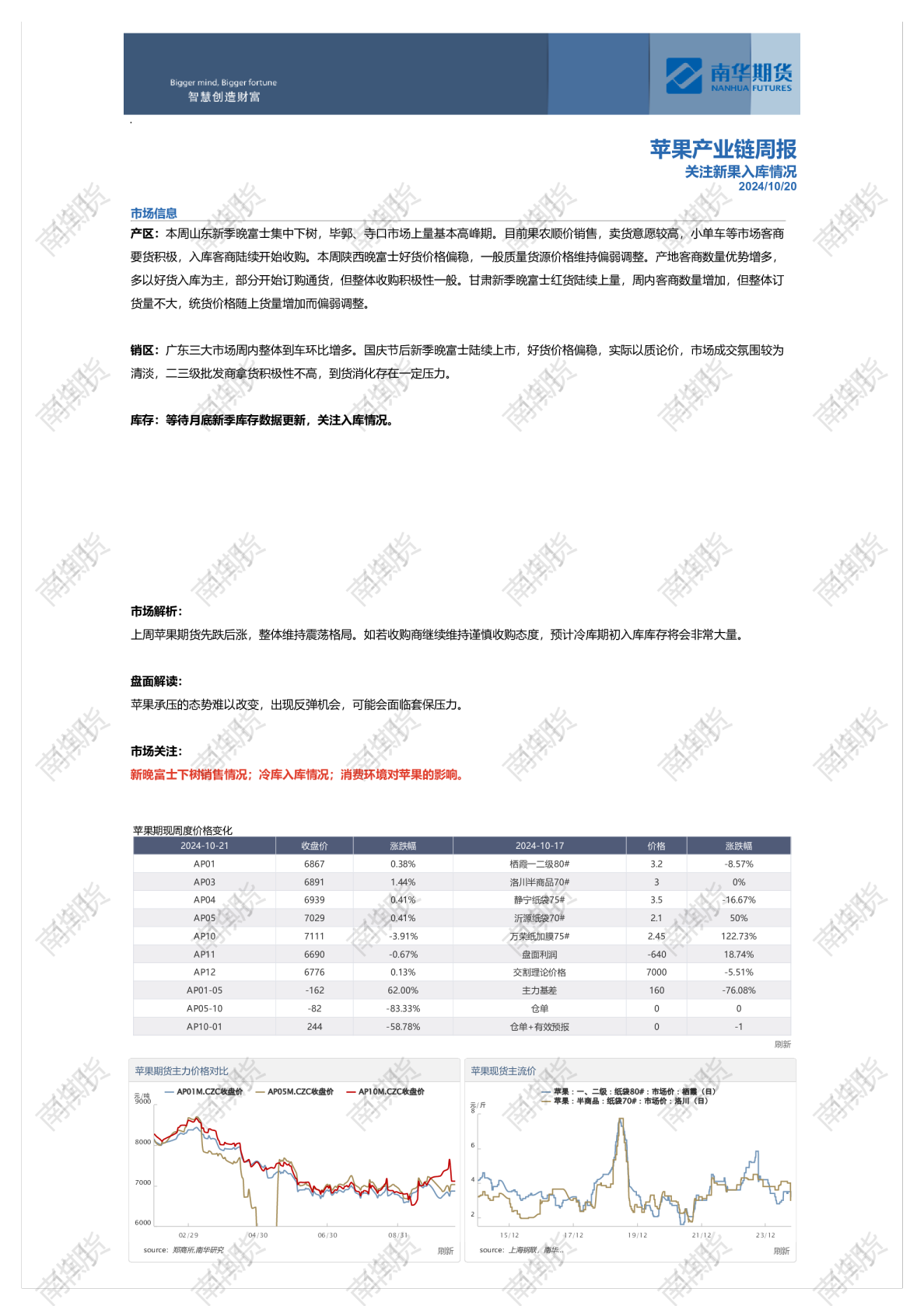 苹果周报20241020