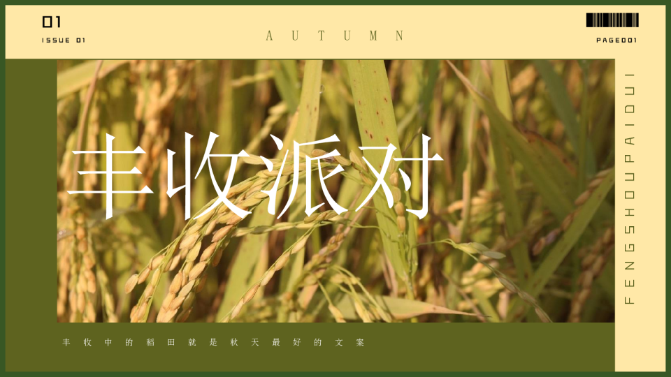 丰收节亲子稻田地产生活节-游园会-运动会活动策划方案