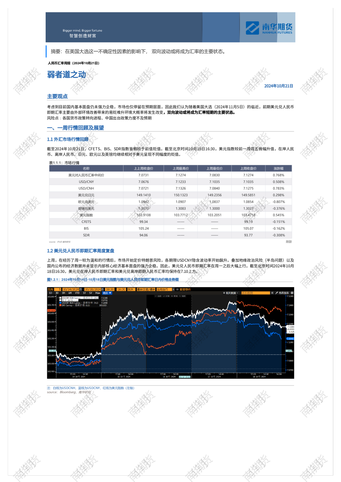 人民币汇率周报20241021