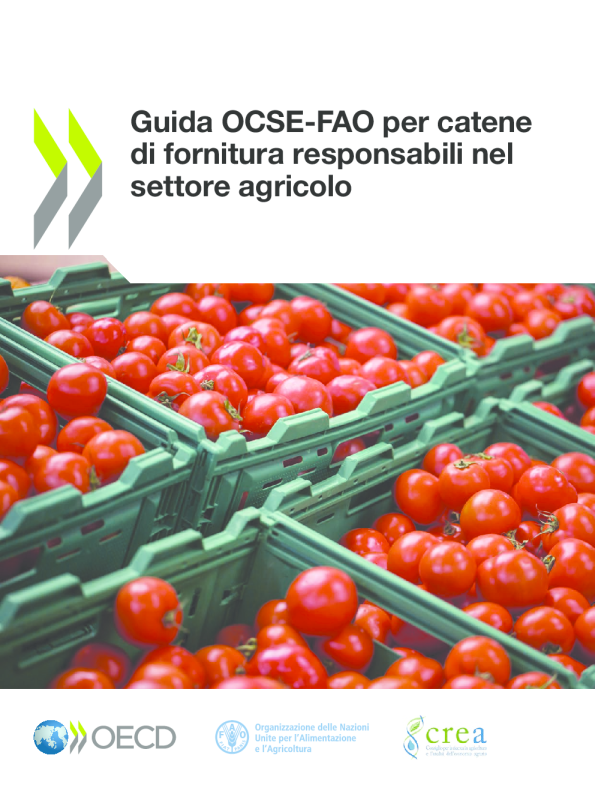OCSE-FAO农业定居者责任链指南
