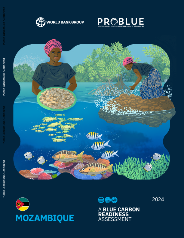 莫桑比克 - 蓝碳就绪性评估