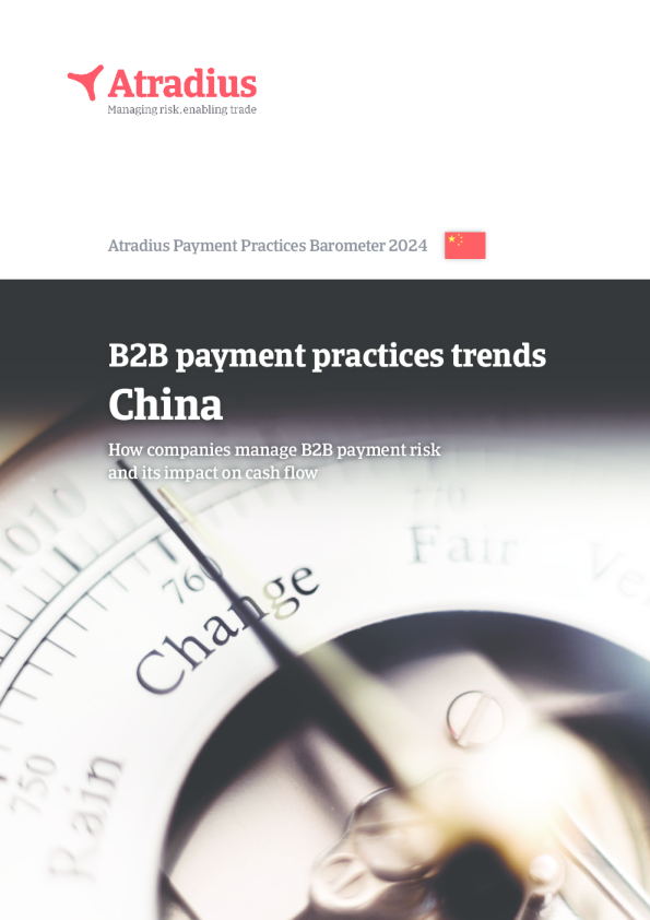 B2B 支付实践趋势 ， 中国 2024