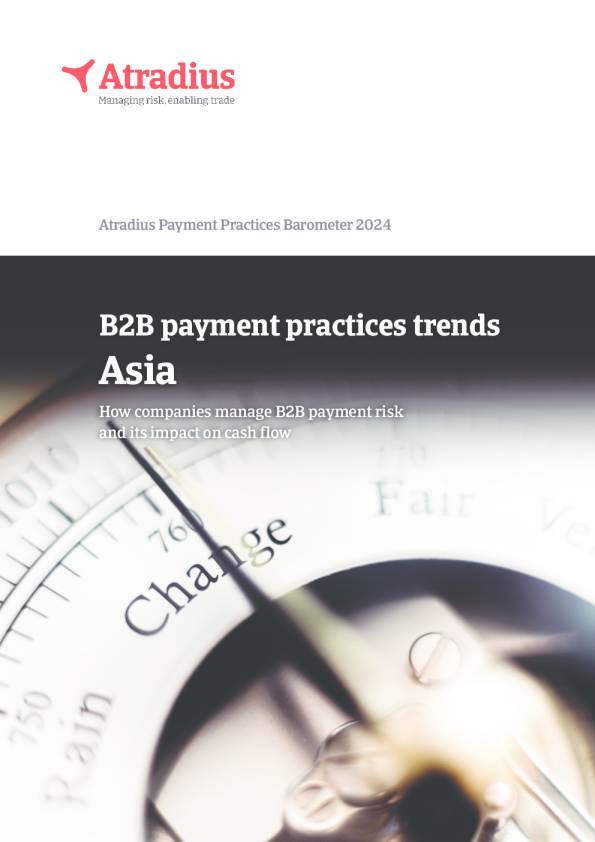 B2B 支付实践趋势 ， 新加坡 2024