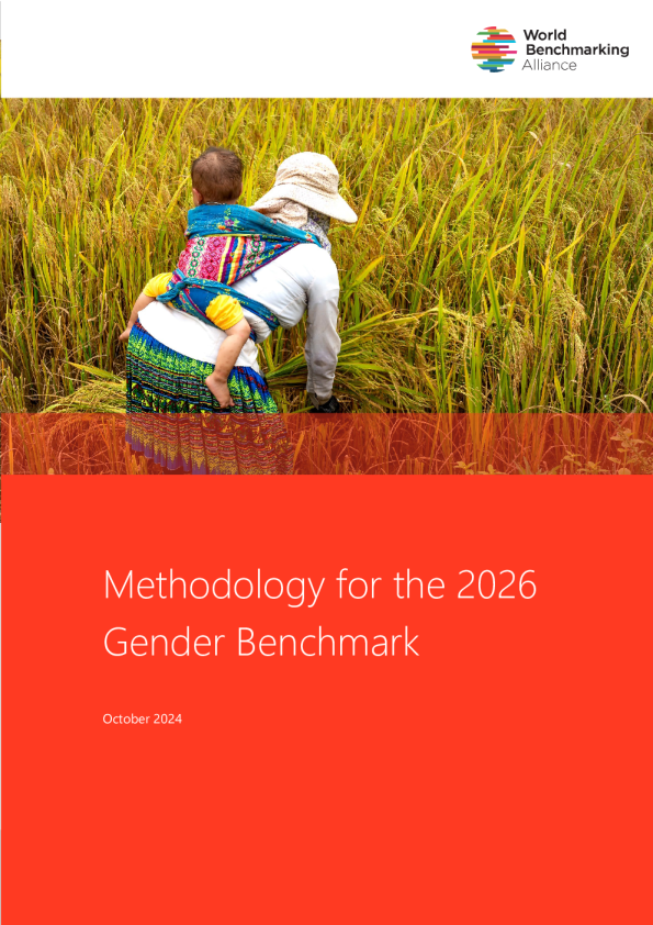 2026年性别基准的方法论