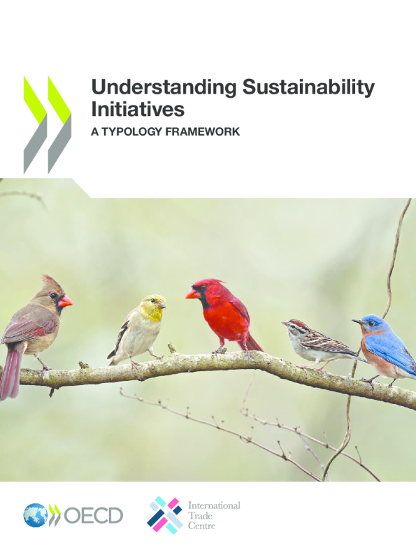 理解可持续发展倡议：类型学框架