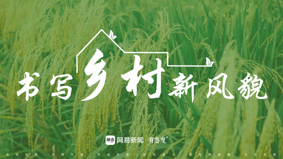 策划方案 | 网易 书写乡村新风貌乡村振兴策划方向