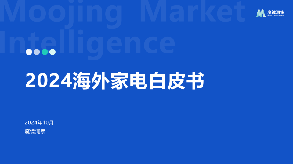 2024年海外家电白皮书