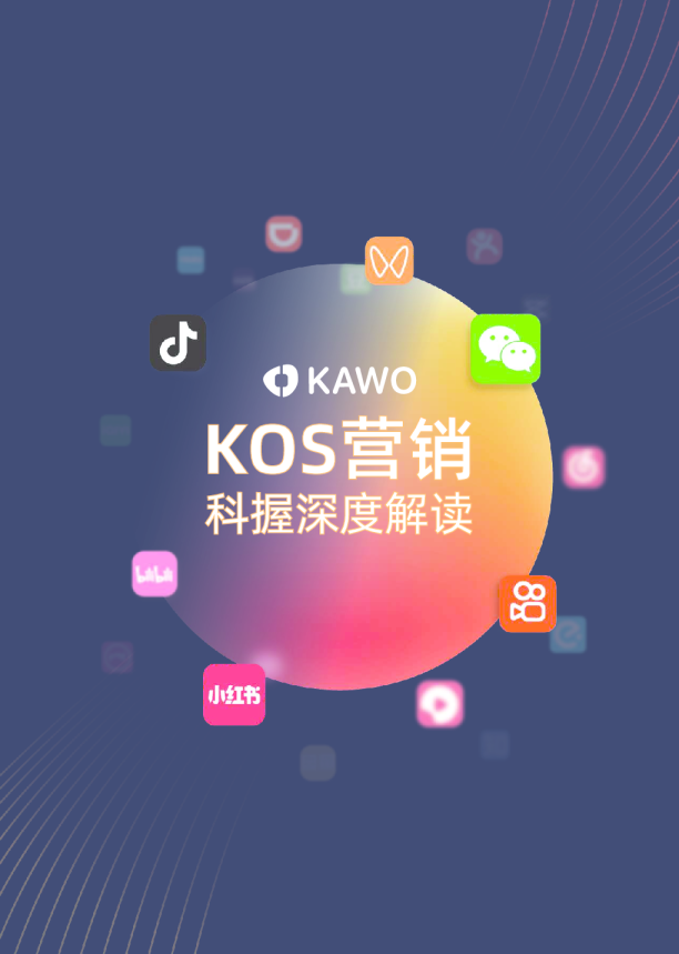 2024年KOS营销科握深度解读报告