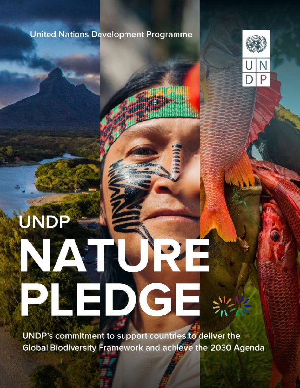 联合国开发计划署自然承诺2024