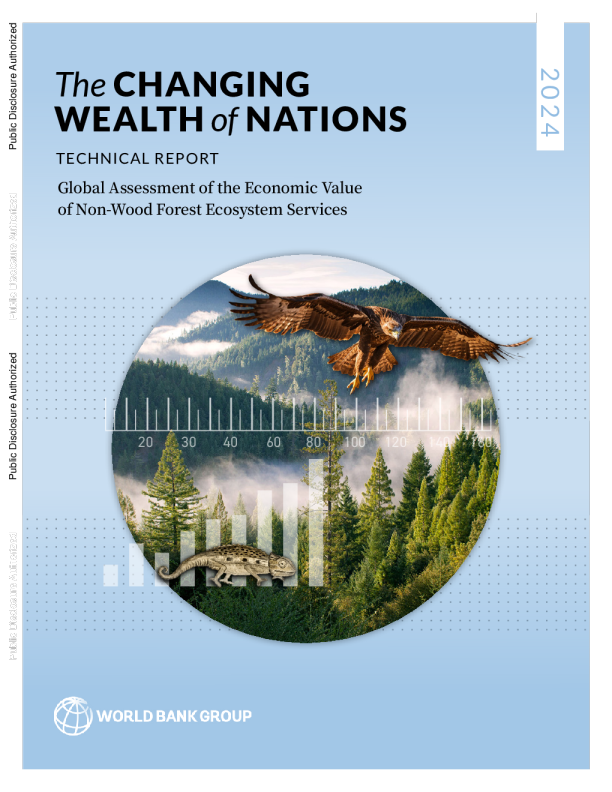 The Changing Wealth of Nations - Global Assessment of the Economic Value of Non-Wood Forest Ecosystem Services