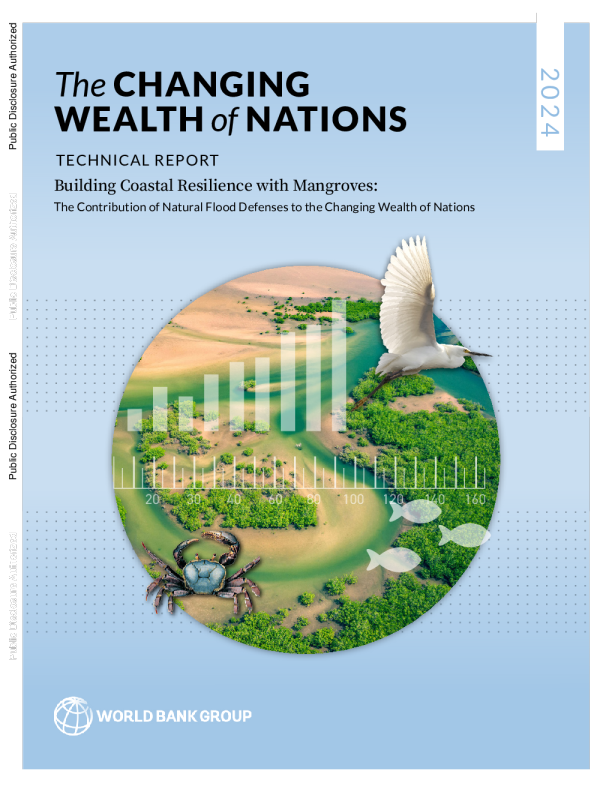 不断变化的国家财富 — — 用红树林建设沿海韧性