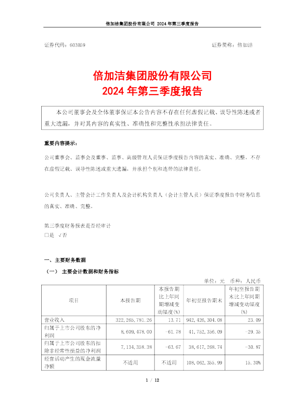 倍加洁：倍加洁集团股份有限公司2024年第三季度报告