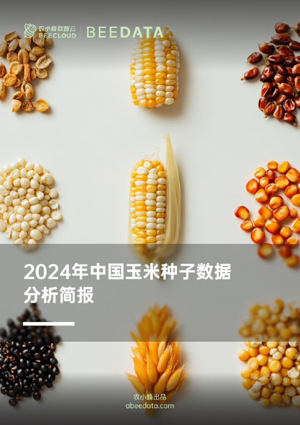 2024年中国玉米种子数据分析简报