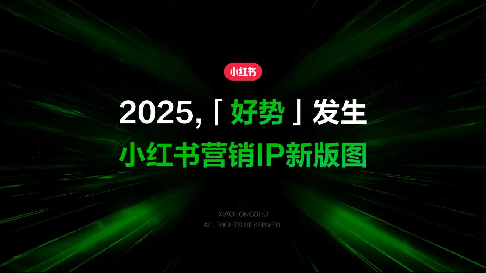 2025小红书IP营销通案