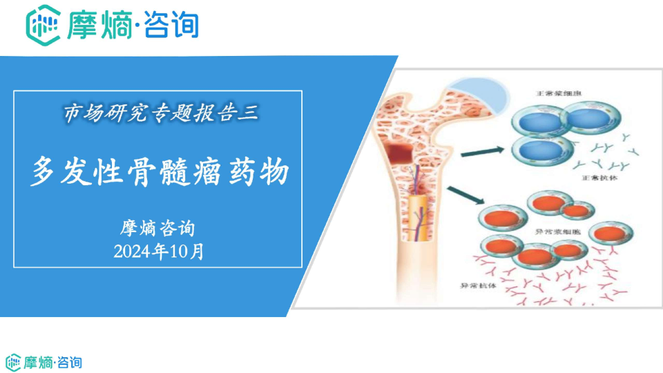2024年市场研究专题报告三：多发性骨髓瘤药物