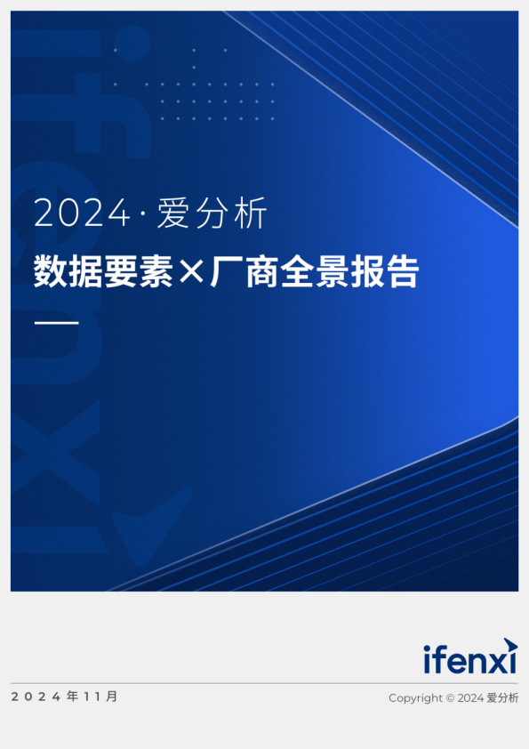 2024年数据要素x厂商全景报告