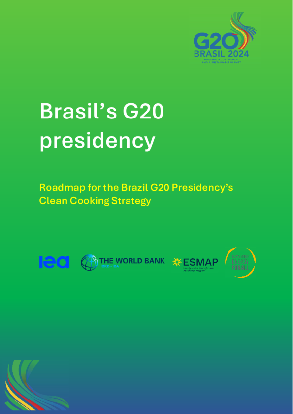 巴西 G20 主席国清洁战略路线图(汉) 2024