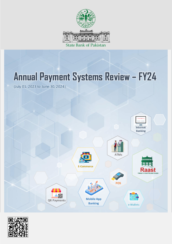 2024财年年度支付系统审查报告