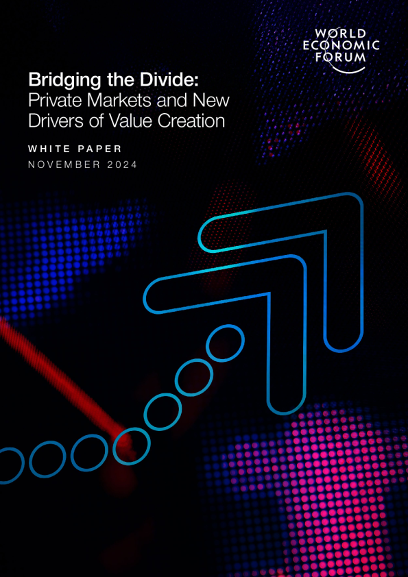 弥合鸿沟 ： 私人市场和价值创造的新动力