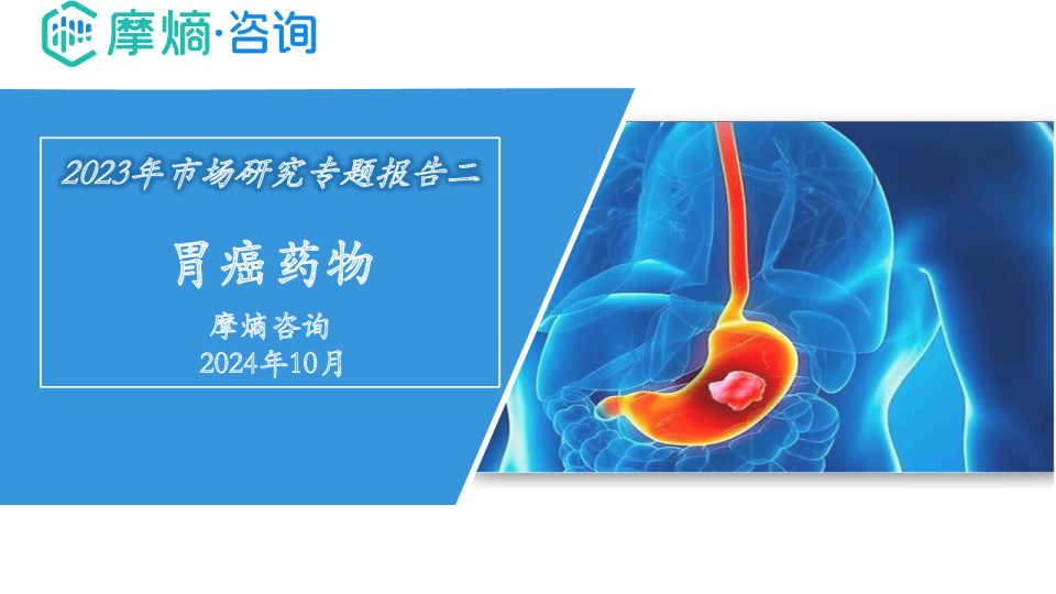 胃癌药物—市场研究专题报告
