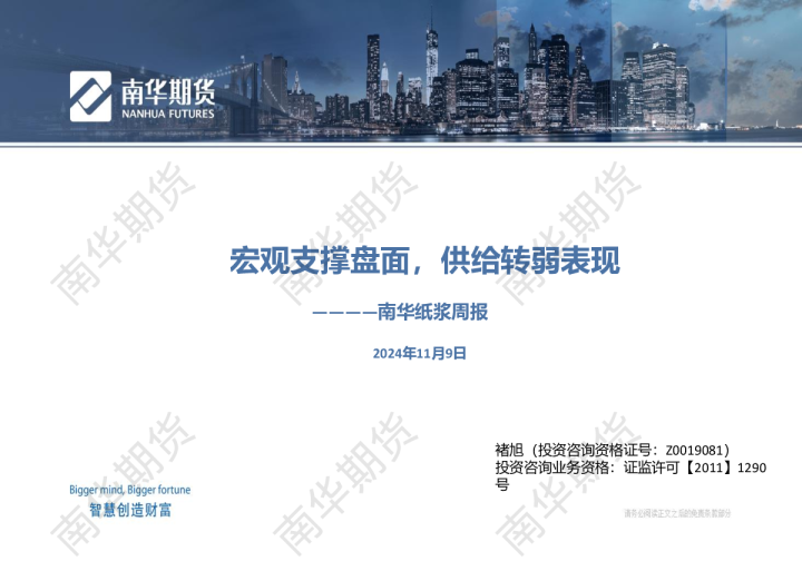 南华期货纸浆周报20241109