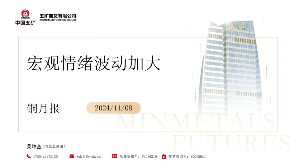 铜月报：宏观情绪波动加大