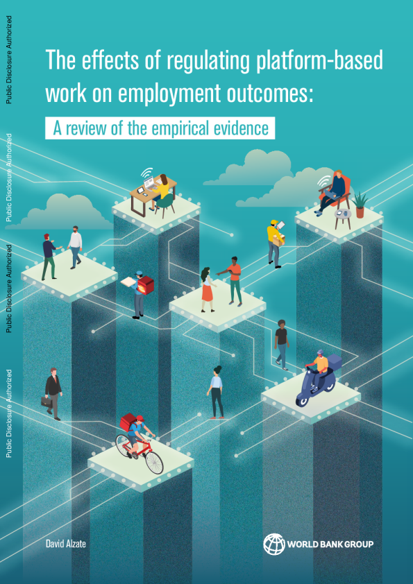 规范平台工作对就业结果的影响：实证证据综述2024