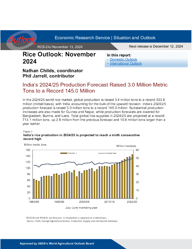 USDA 大米展望 2024.11. 13