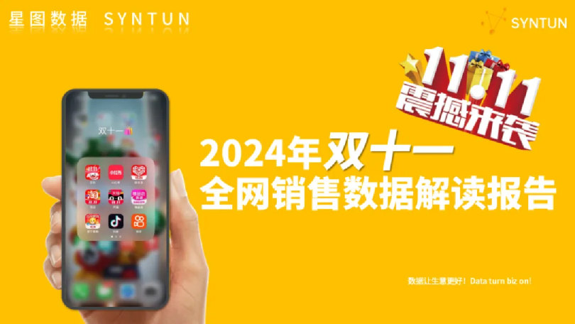 2024年双十一全网销售数据解读报告