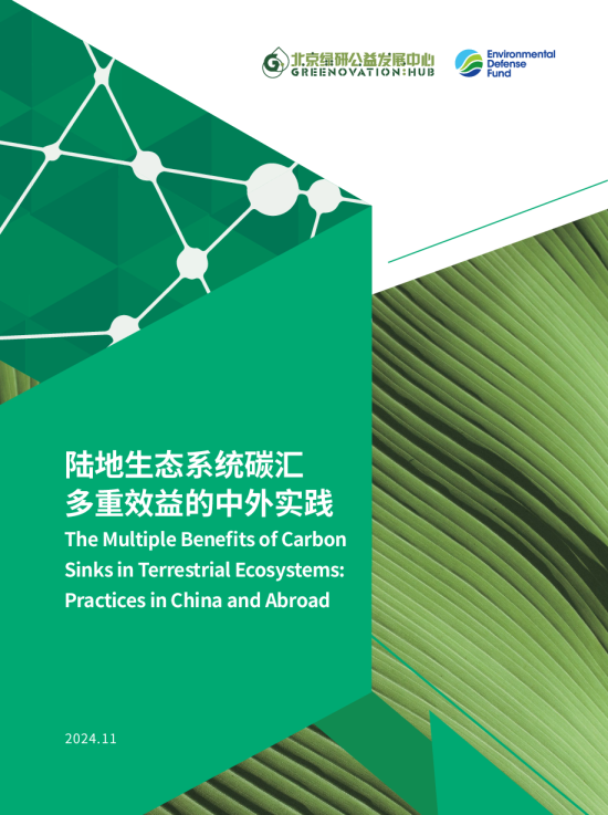 陆地生态系统碳汇多重效益的中外实践