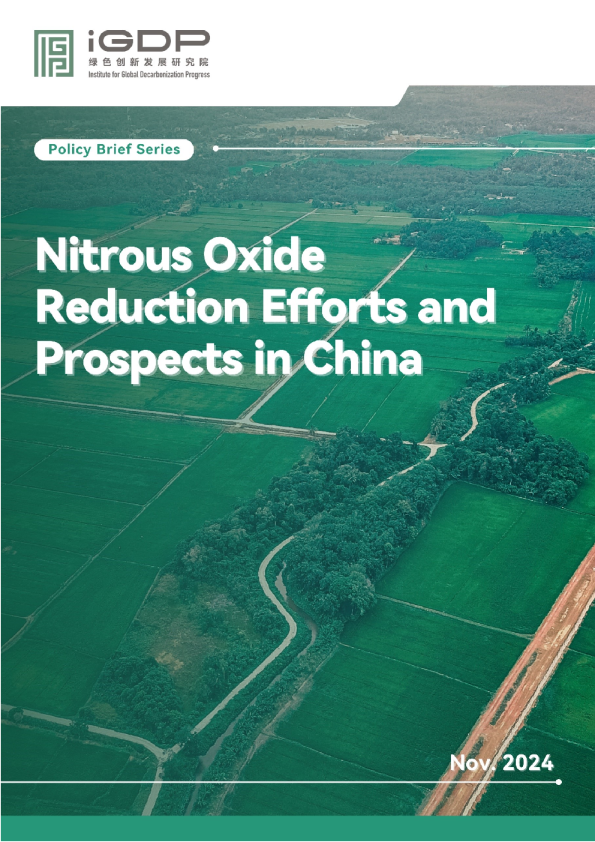 中国减少一氧化二氮的努力与前景
