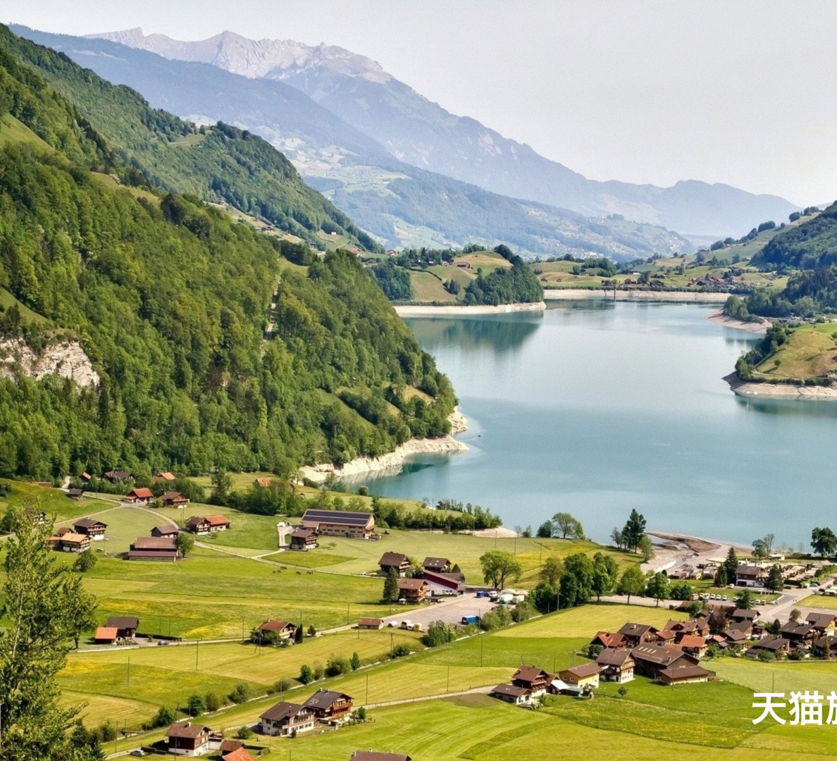 天猫旗舰店年度运营建议案